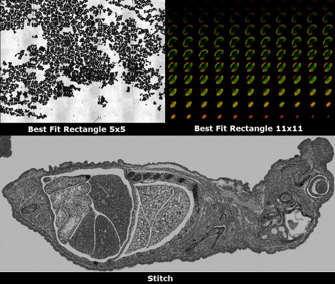 Montage Example - Best Fit Rectangle